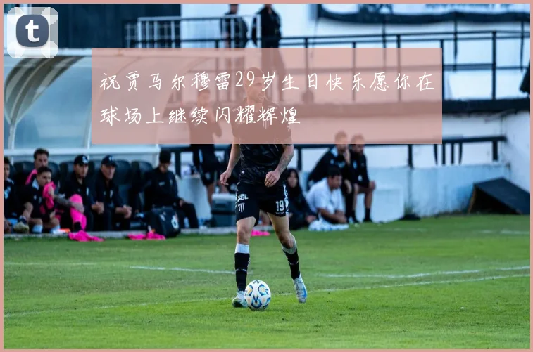 祝贾马尔穆雷29岁生日快乐愿你在球场上继续闪耀辉煌