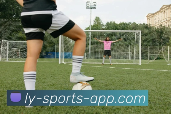 乐鱼体育发展历程